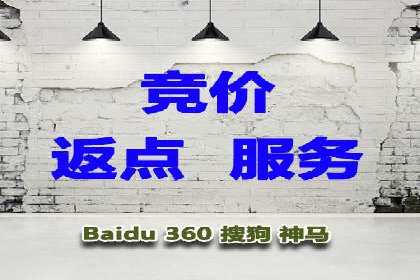 百度推广实战：案例分享与数据解读
