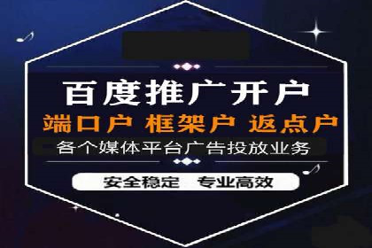 某行业头部企业信息流广告推广全解析